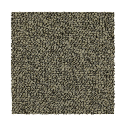 3c49-879-variant-room-scene