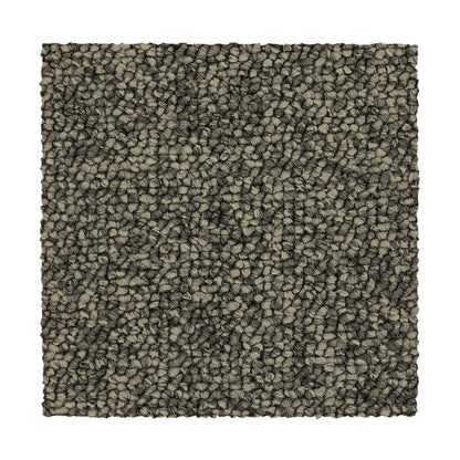 3c49-977-variant-room-scene