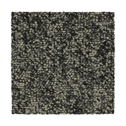 3c49-996-variant-room-scene