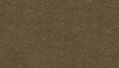 3d39-783-variant-room-scene
