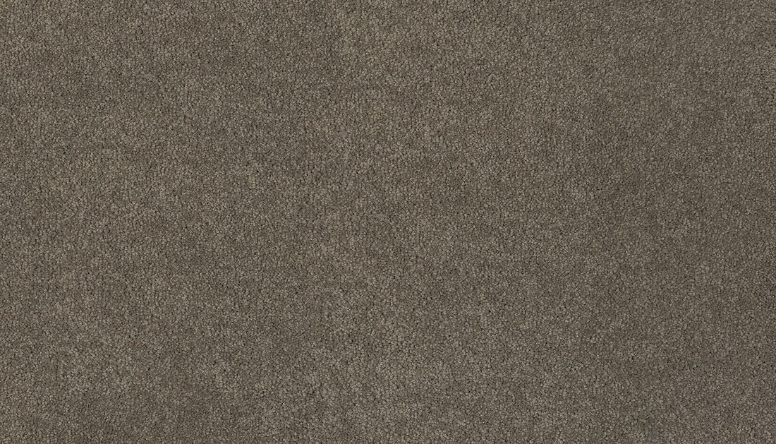 3d39-964-variant-room-scene