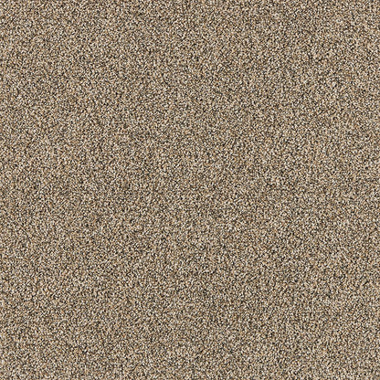 sp946-952-variant-room-scene