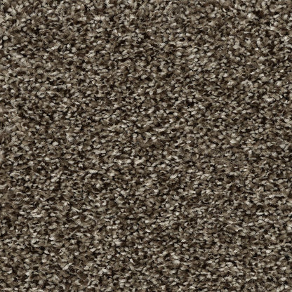 sp963-898-variant-room-scene