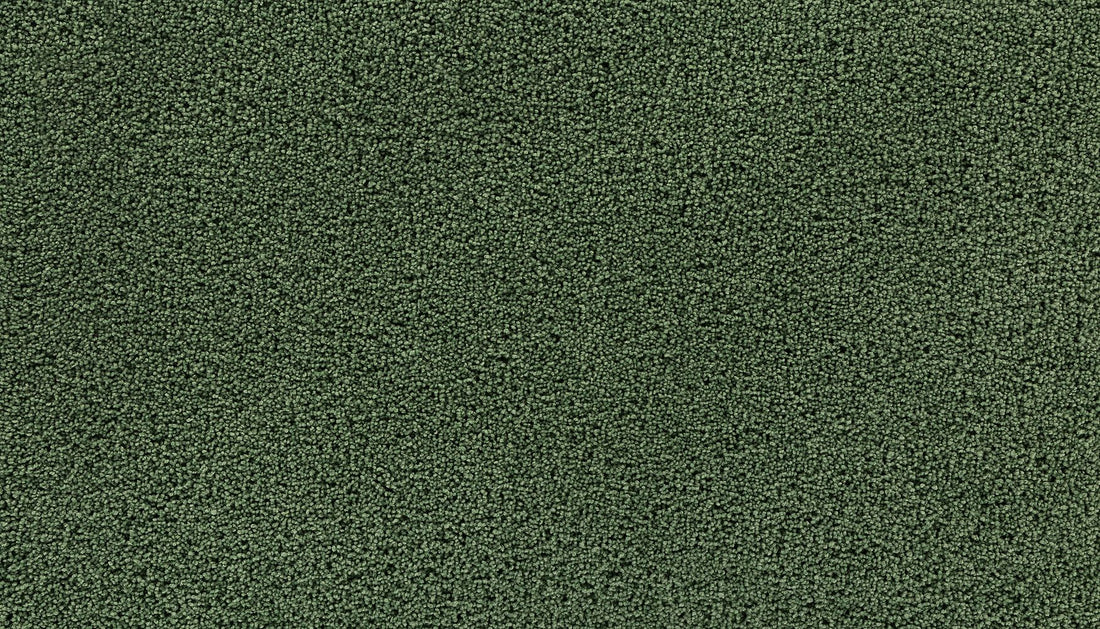 3g98-656-variant-room-scene