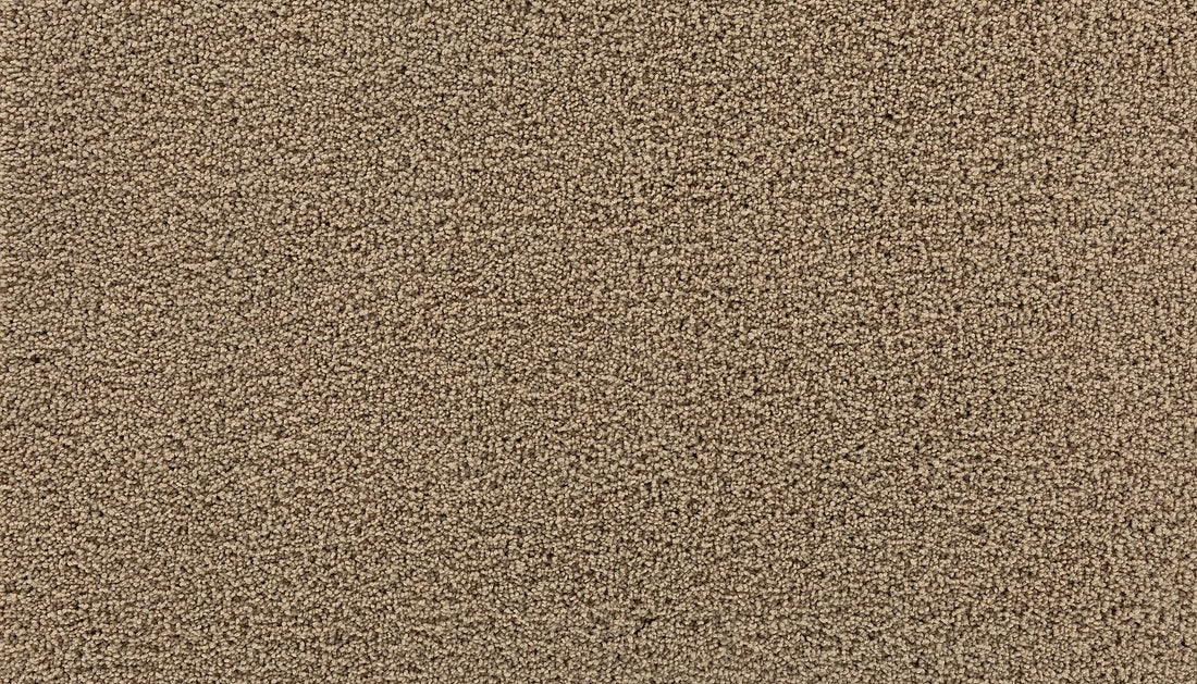 3g98-758-variant-room-scene