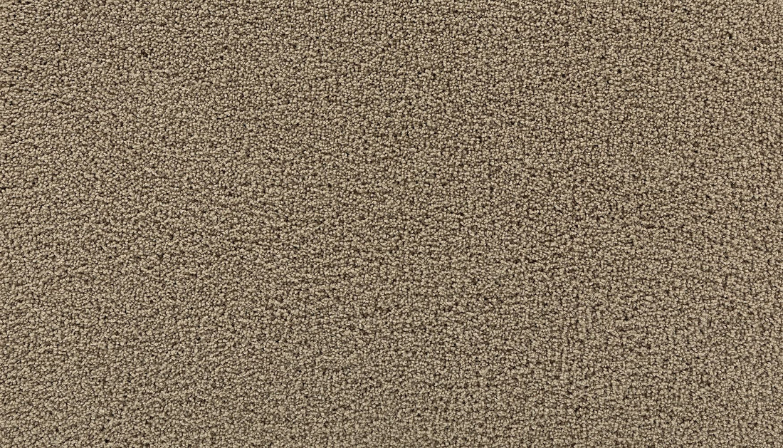 3g98-776-variant-room-scene