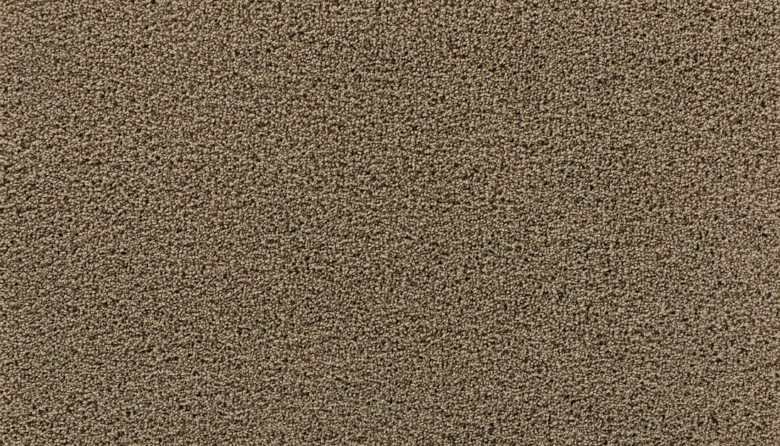 3g98-786-variant-room-scene