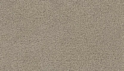 3g98-809-variant-room-scene