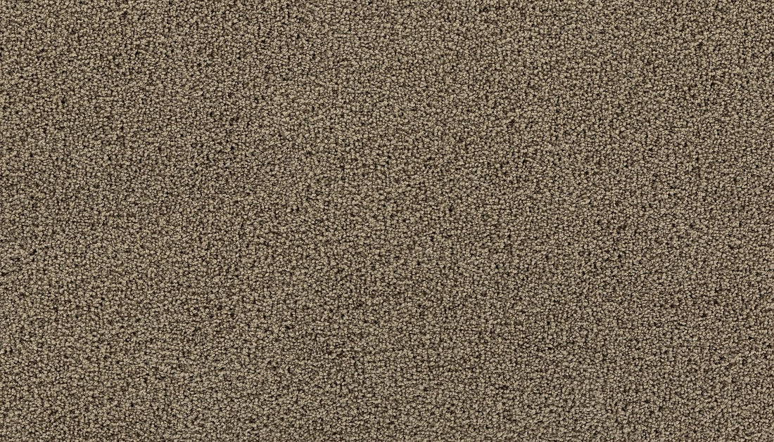 3g98-839-variant-room-scene