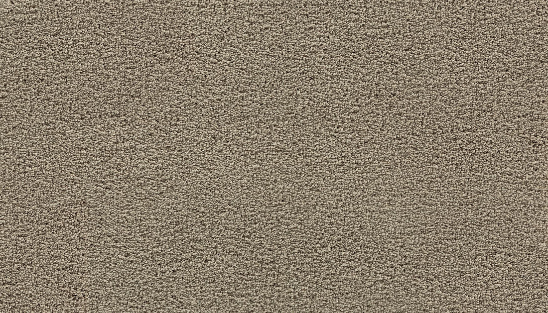 3g98-937-variant-room-scene