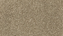 3h37-781-variant-room-scene