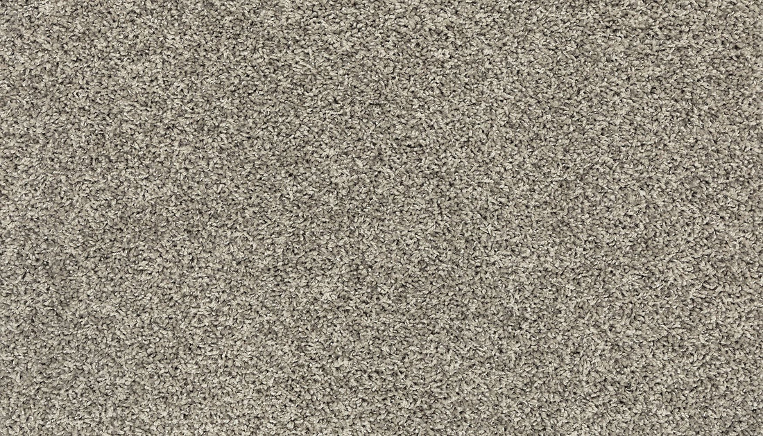 3h37-829-variant-room-scene