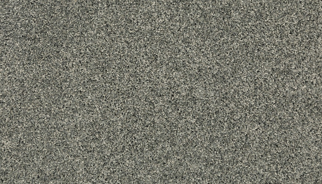 3h37-974-variant-room-scene