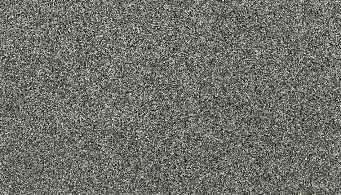 3h37-979-variant-room-scene