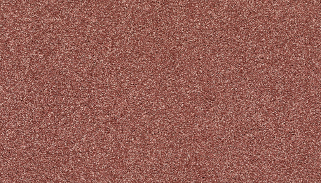 3j97-323-variant-room-scene