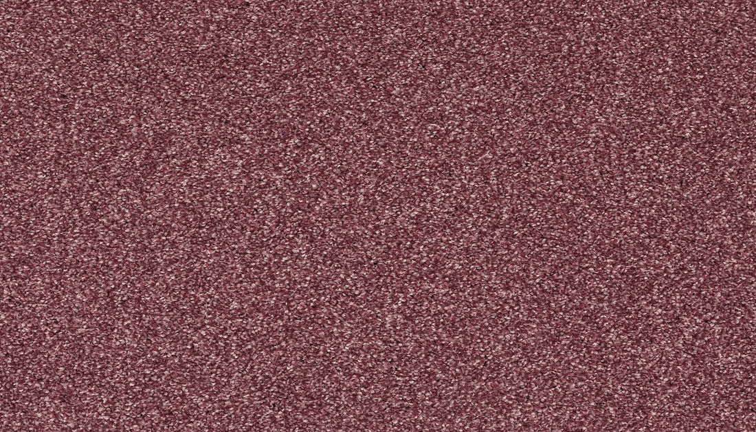 3j97-445-variant-room-scene