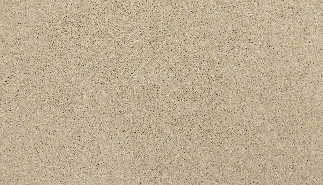 3m44-707-variant-room-scene