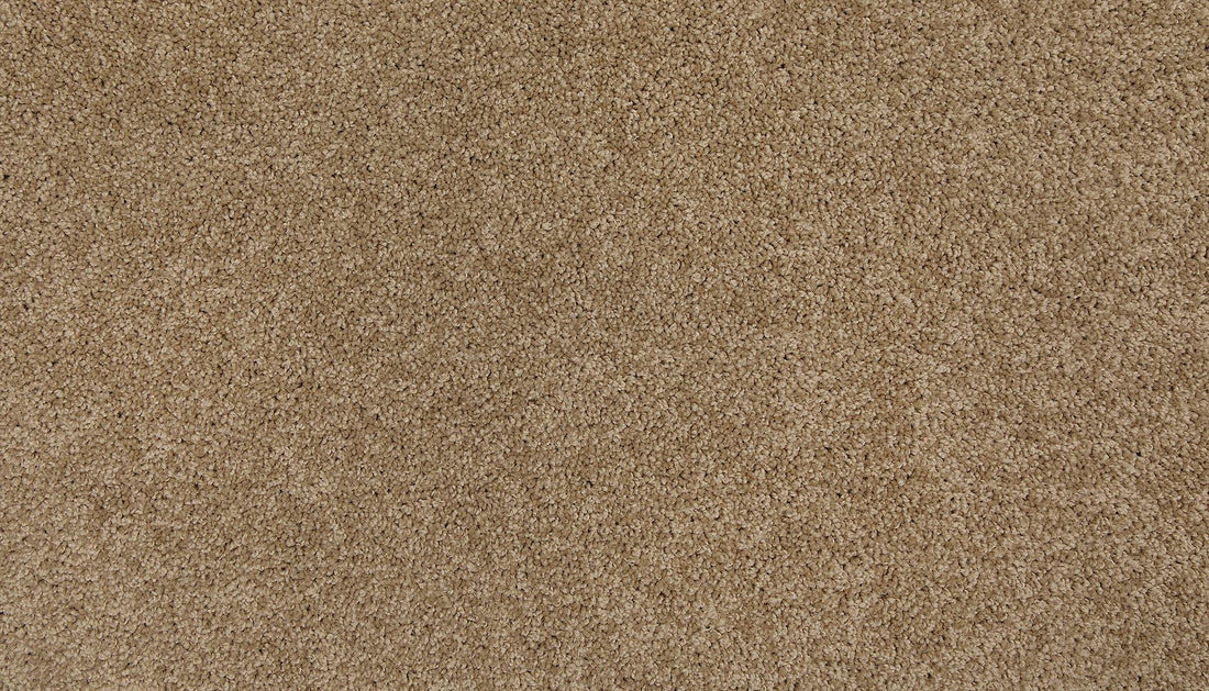 3m44-739-variant-room-scene