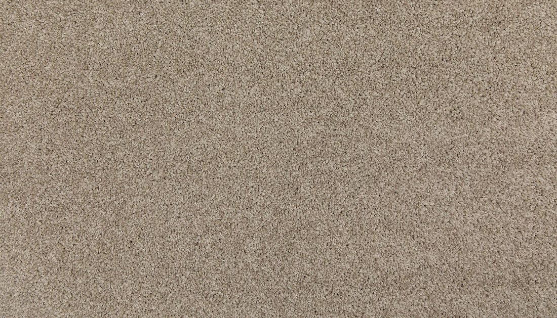 3m44-817-variant-room-scene