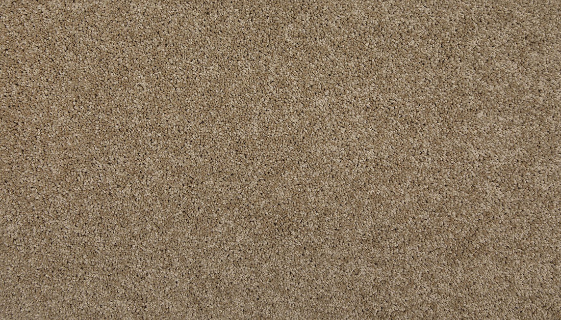3m44-864-variant-room-scene