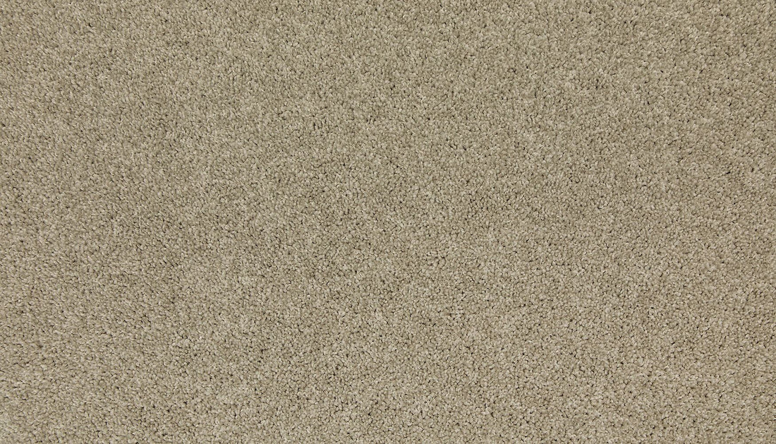 3m44-917-variant-room-scene
