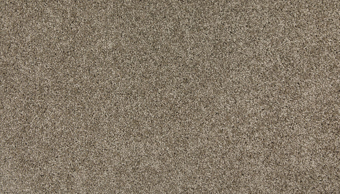 3m44-923-variant-room-scene