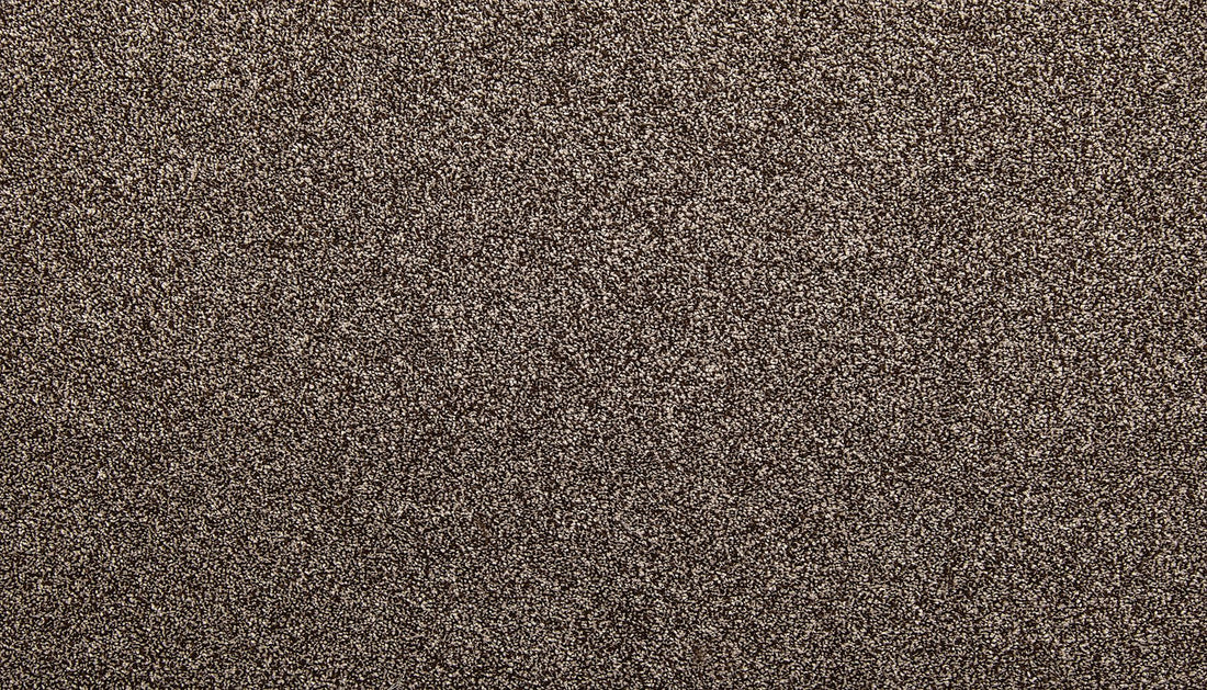 3k39-889-variant-room-scene