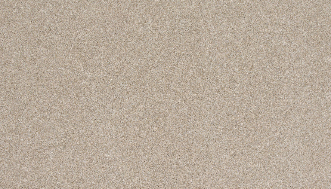 3l83-702-variant-room-scene