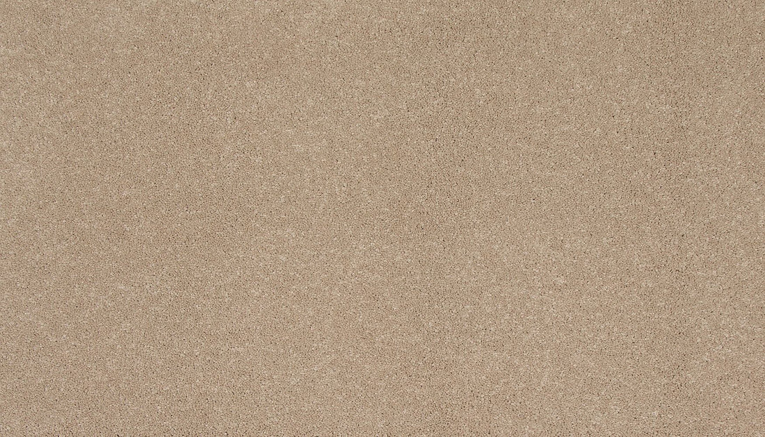 3l83-727-variant-room-scene