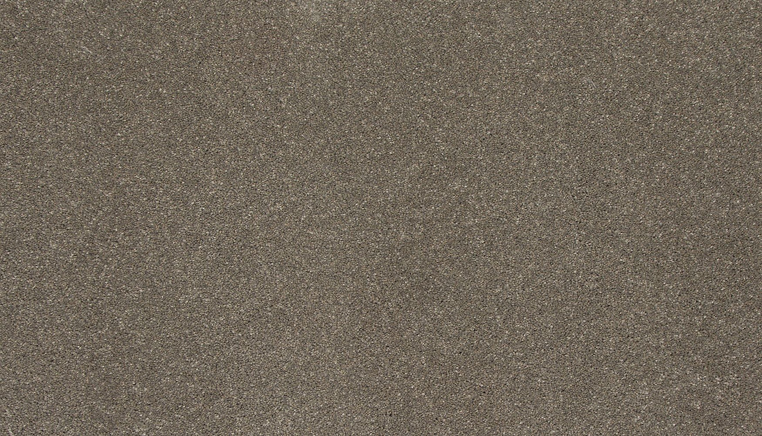 3l84-923-variant-room-scene