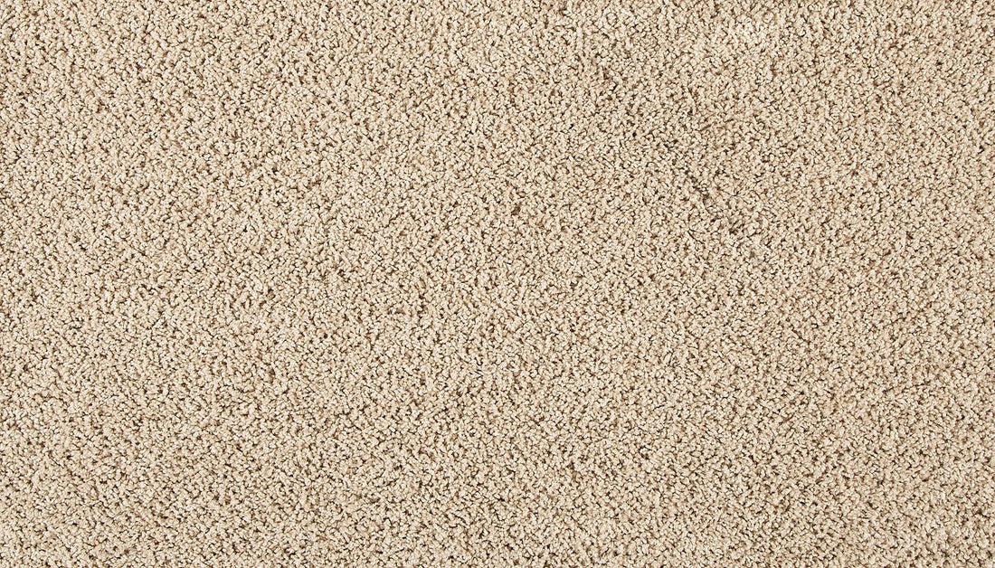 3m42-737-variant-room-scene