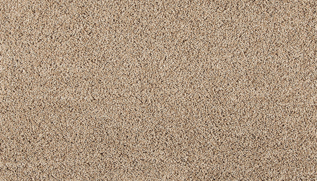3m43-787-variant-room-scene