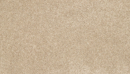 3m40-737-variant-room-scene
