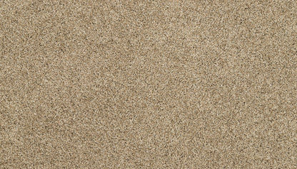 3m36-777-variant-room-scene