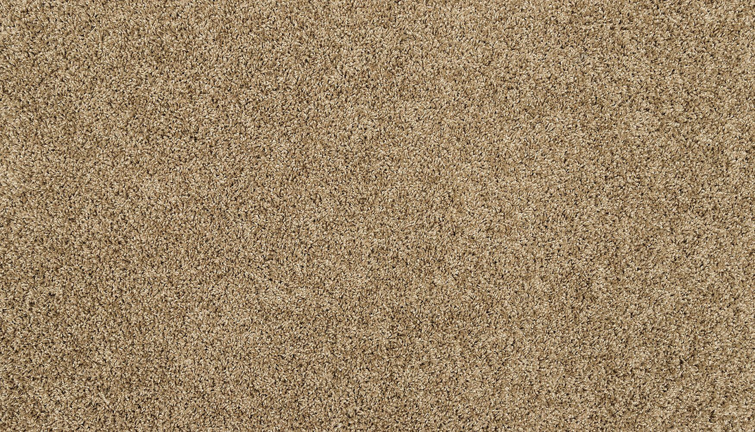 3m36-787-variant-room-scene