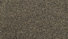 3m37-598-variant-room-scene
