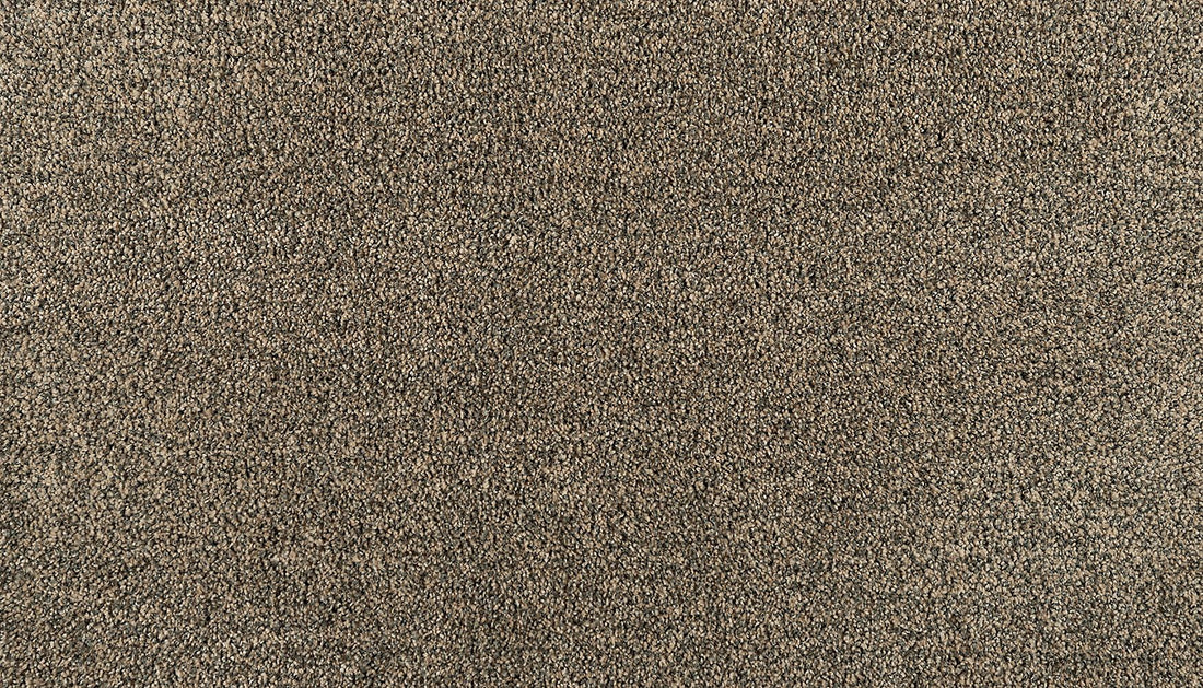 3n14-879-variant-room-scene