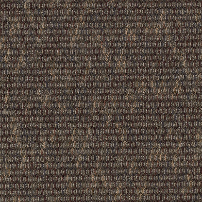 2b47-858-variant-room-scene