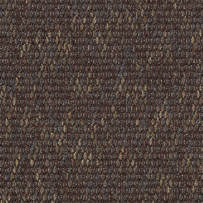 2b47-869-variant-room-scene