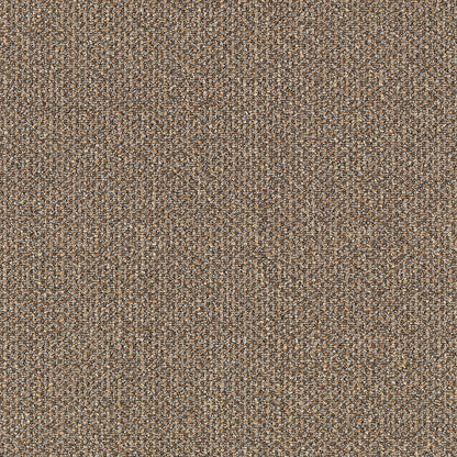 2b48-841-variant-room-scene