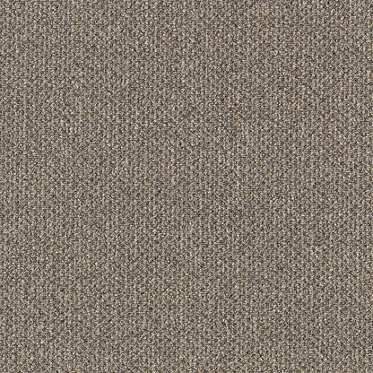 2b48-858-variant-room-scene