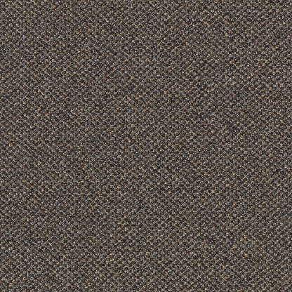 2b48-869-variant-room-scene