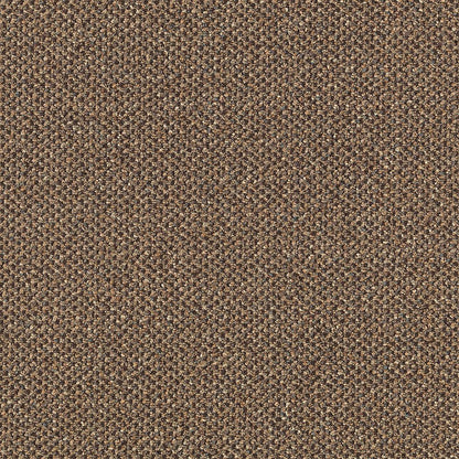 2b48-878-variant-room-scene