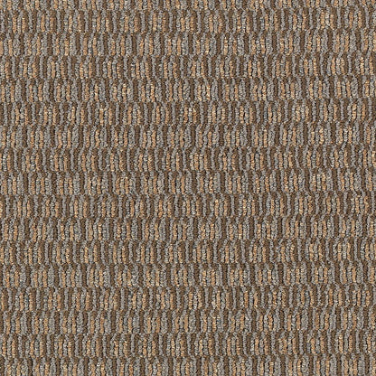 2b49-841-variant-room-scene