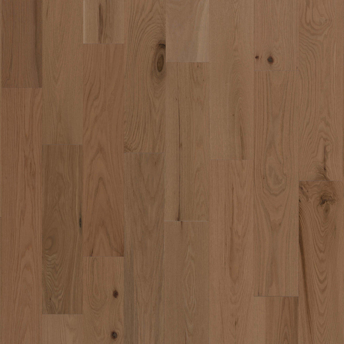 56559-variant-room-scene