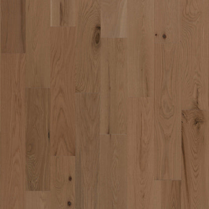 56559-variant-room-scene