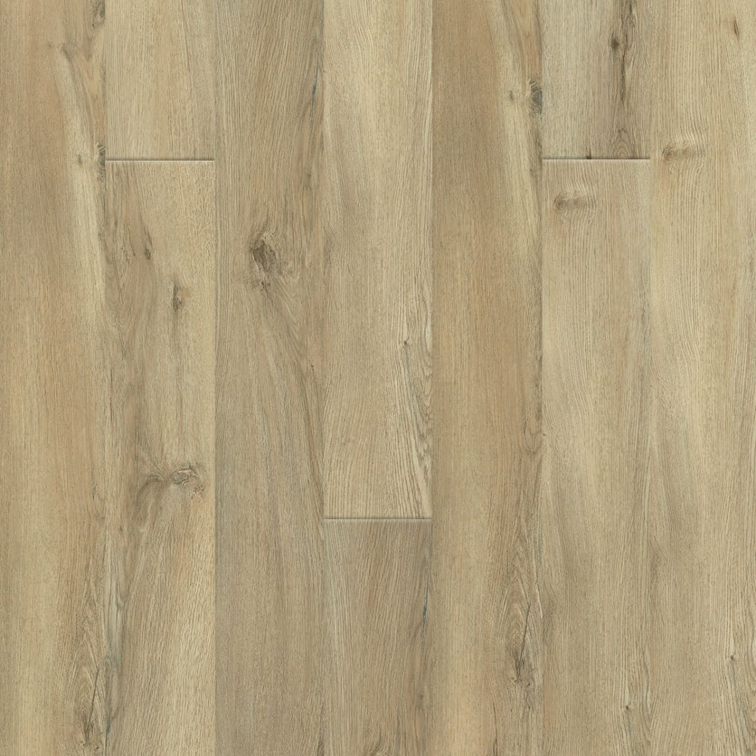 1-r007-4006-6x48-cl-variant-room-scene