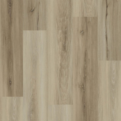 1-r016-6003-7x48-fl-variant-room-scene