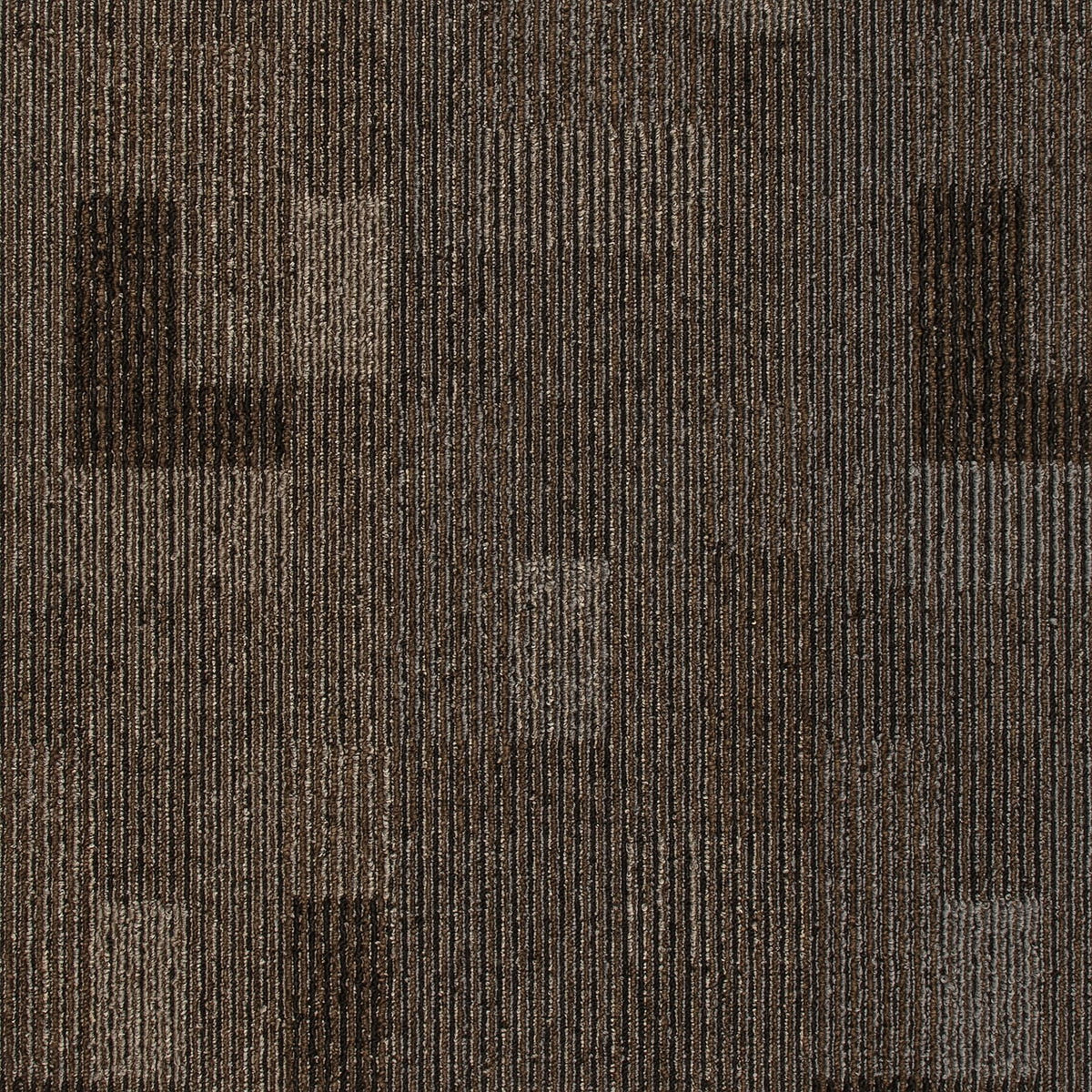 2b200-888-variant-room-scene