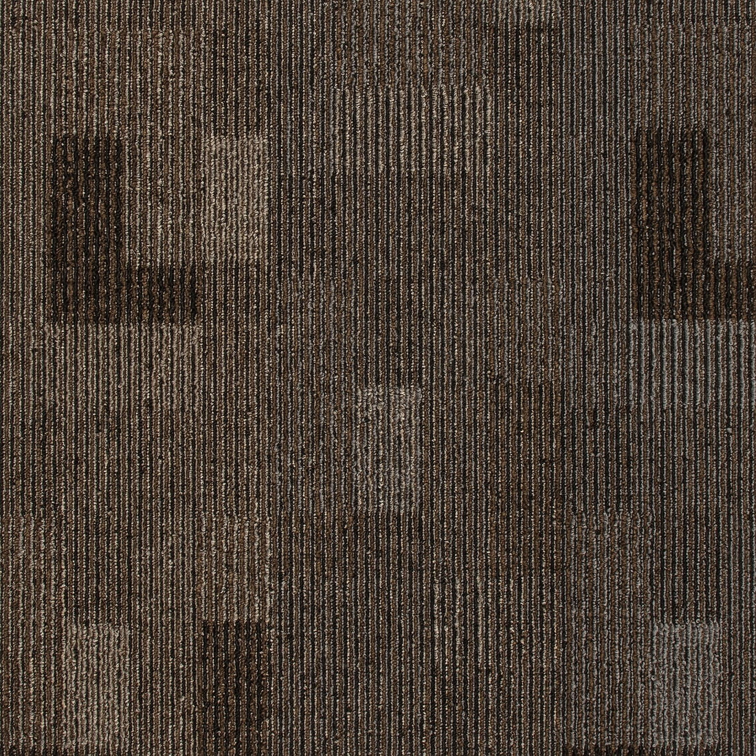 2b200-888-variant-room-scene